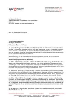  Vernehmlassungsantwort Strategie Stromnetze